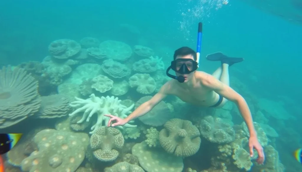 Discover the best snorkeling spots in Port Vila, including Hideaway Island Marine Reserve and the coral gardens of Tanna Island.