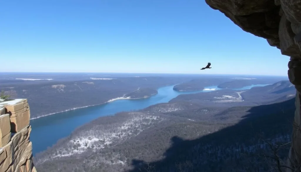 Eagle Cliff viewpoint at Starved Rock State Park with views of the Illinois River and potential eagle sightings