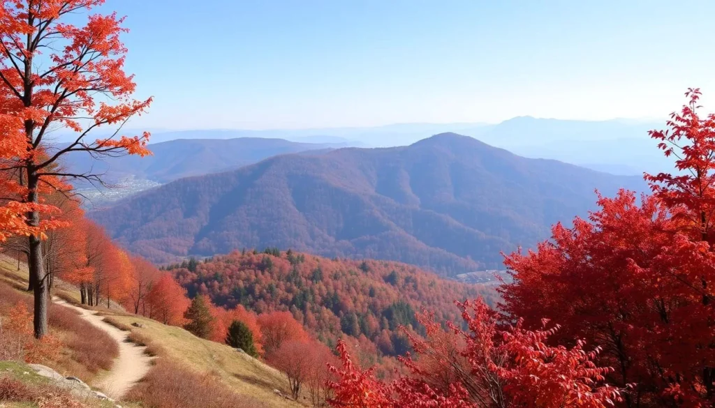 Fruška Gora National Park in autumn with colorful foliage and monastery views Fruška Gora National Park in autumn with colorful foliage and monastery views