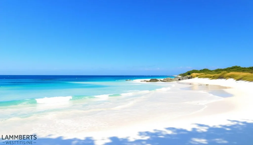 Generate an image of Lambert's Cove Beach in West Tisbury, with its white sands and turquoise waters.