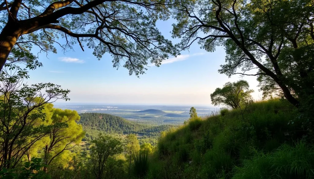 Generate an image of Ruggeller Riet nature reserve with diverse ecosystems and wildlife.