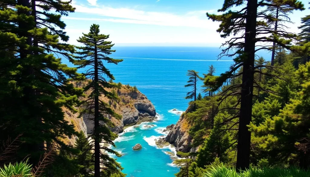 Image of Big Sur coastline with redwood trees and the Pacific Ocean