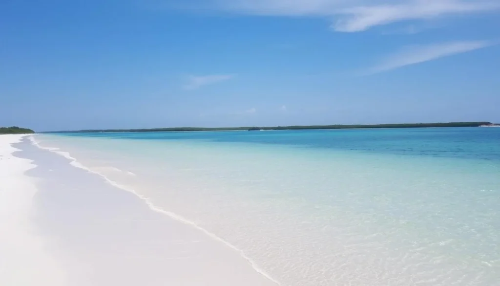Image of Honeymoon Island State Park's pristine shoreline