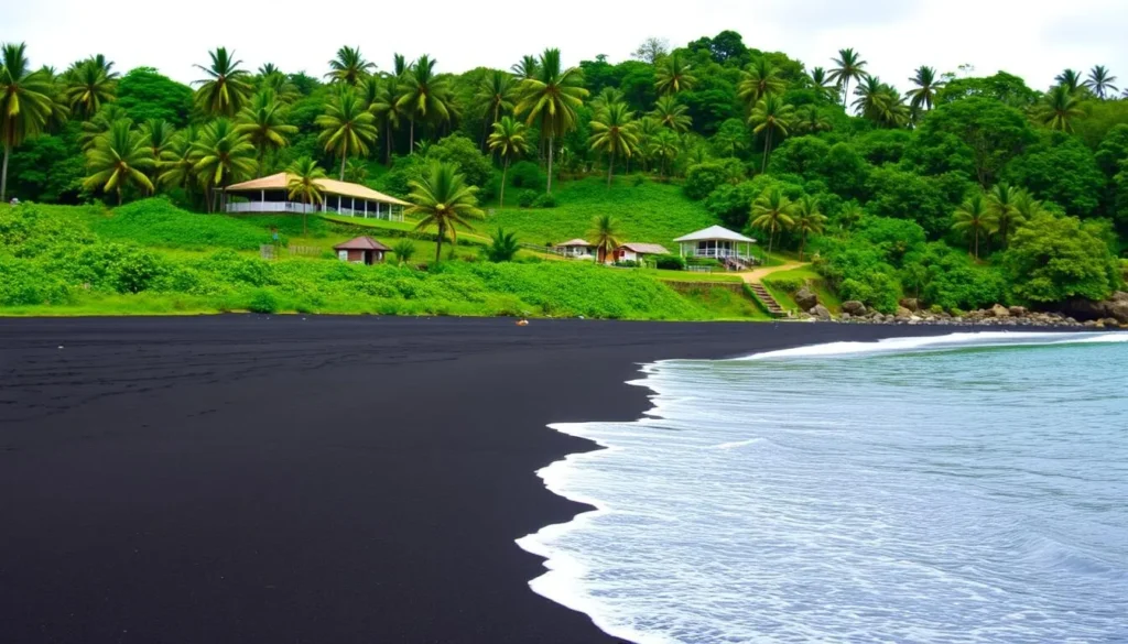 Image of Limbe's black sand beach with the Limbe Botanical & Zoological Garden in the background