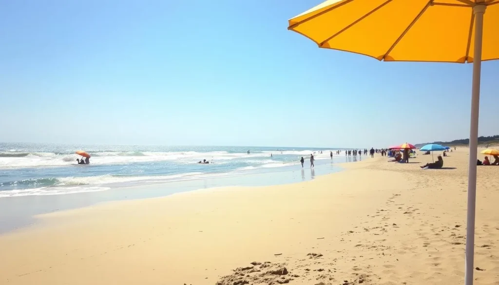 Image of Plum Island Beach during summer