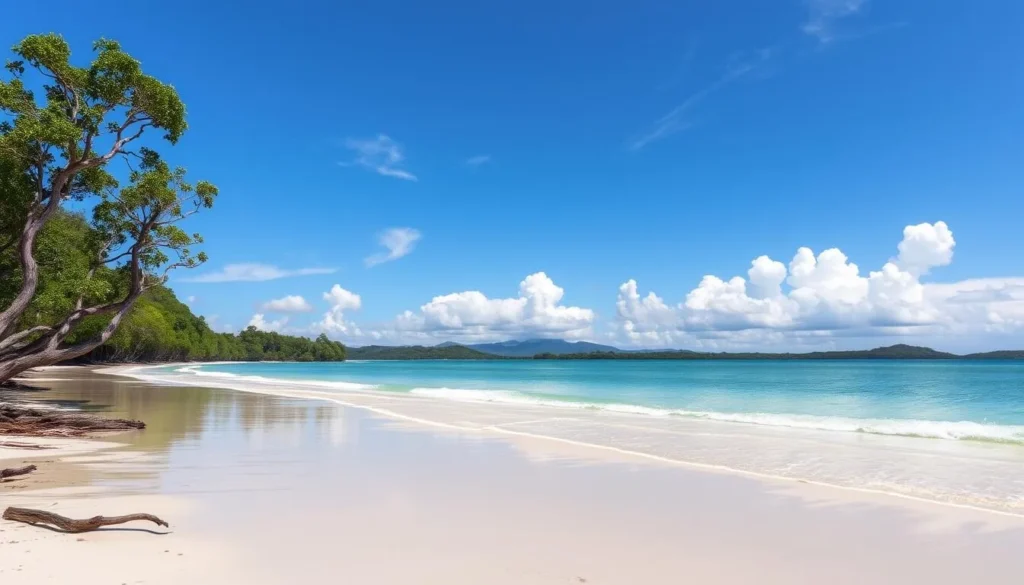 Image of Pongara National Park's pristine beaches and mangrove forests