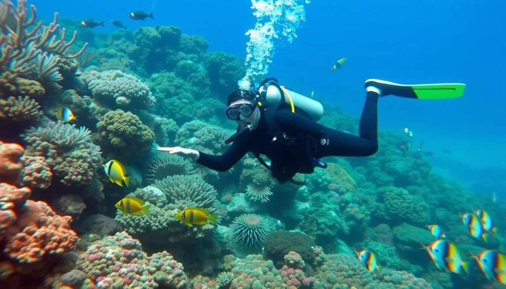 Image of a diver exploring the vibrant coral reef at Flying Fish Cove