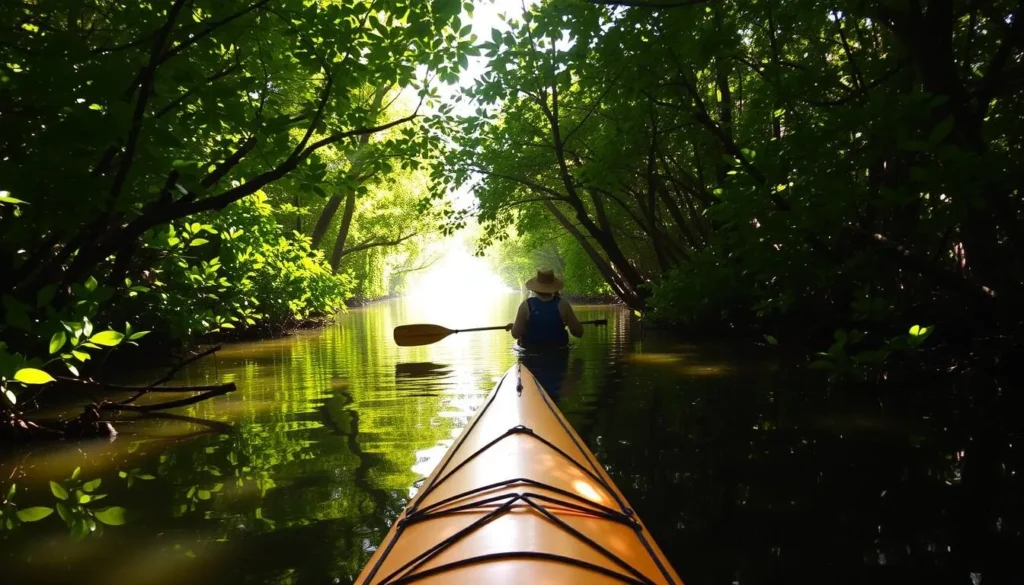 Image of a kayaker paddling through mangrove tunnels at Weedon Island Preserve