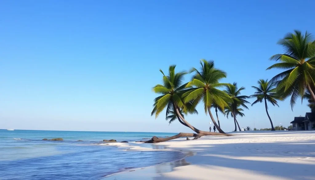 Image of a serene beach on Caye Caulker with palm trees swaying in the breeze.