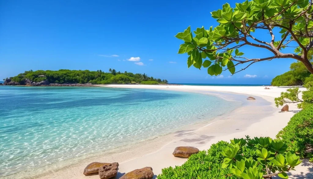 Image of a serene beach with clear waters and lush vegetation