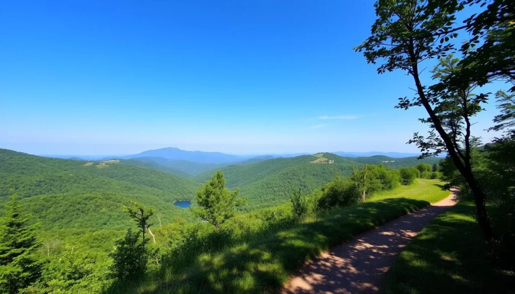 Image of a serene hiking trail in Martinsburg, WV Image of a serene hiking trail in Martinsburg, WV