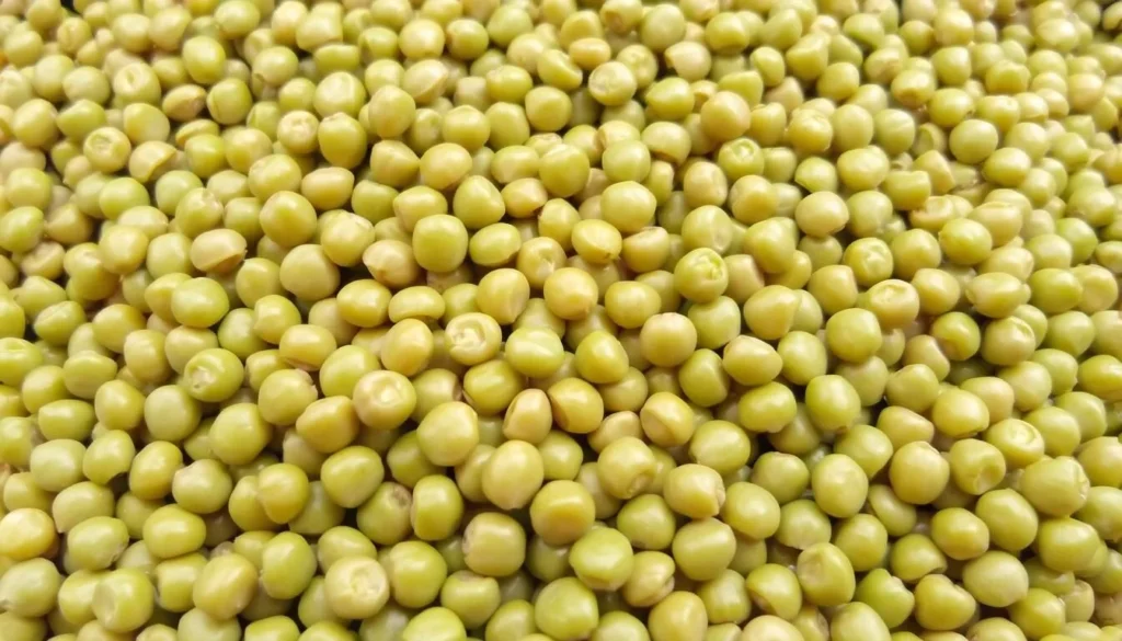 Image of green lentils, known as "Lentilles vertes du Puy"