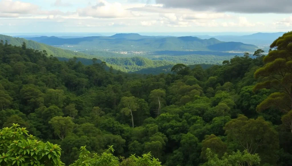 Image of the Gold Coast hinterland with lush rainforests and scenic views