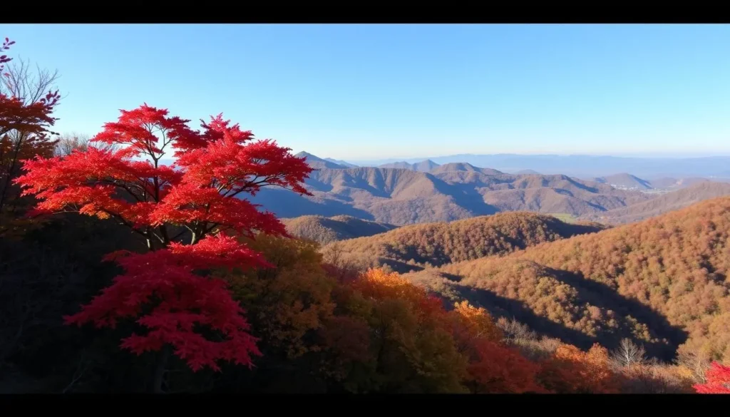 Image of vibrant autumn colors in Kamikitayama
