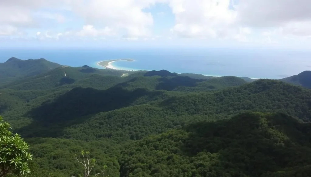 Mount Alexandra Lookout with a panoramic view of the Daintree Rainforest and Coral Sea