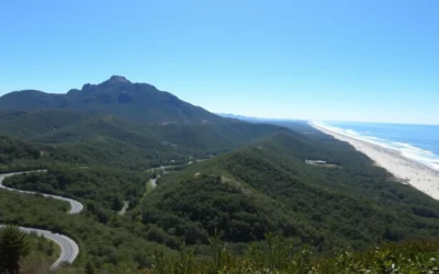 North Carolina, United States: Best Things to Do – Top Picks
