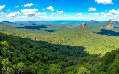 Garigal National Park, New South Wales: Best Things to Do – Top Picks