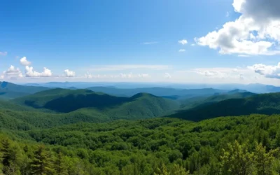 Pisgah National Forest, North Carolina: Best Things to Do – Top Picks