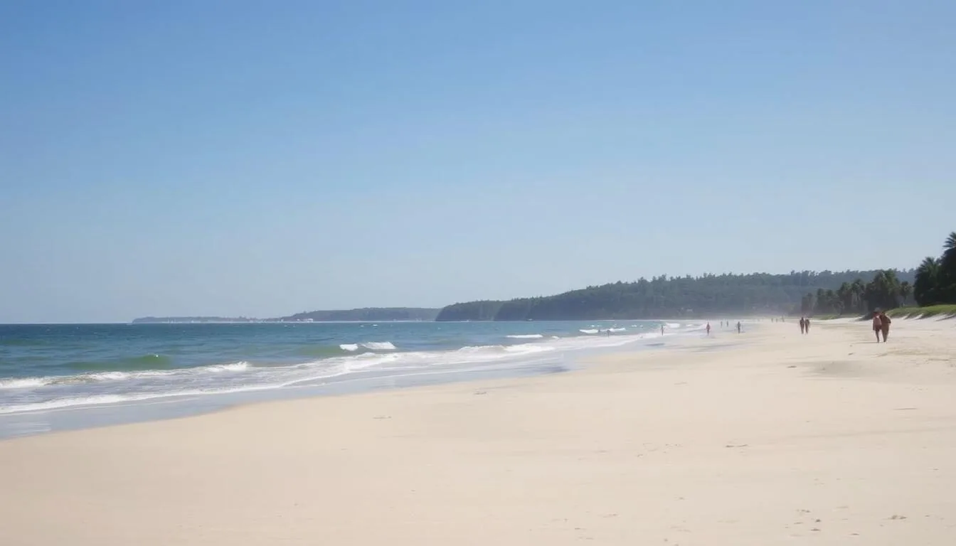 Saint Catherines Island, Georgia: Best Things to Do - Top Picks