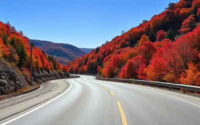 Monongahela National Forest, West Virginia: Best Things to Do – Top Picks