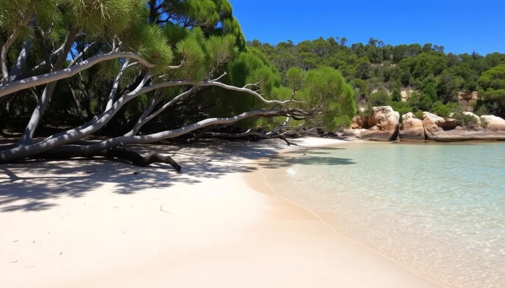 Secluded Flat Rock Beach in Garigal National Park with clear water and eucalyptus trees providing shade Secluded Flat Rock Beach in Garigal National Park with clear water and eucalyptus trees providing shade