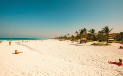 Siesta Key, Florida: Best Things to Do – Top Picks