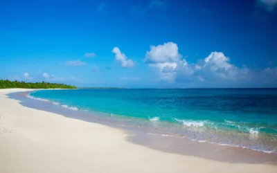 Marshall Islands: Best Things to Do – Top Picks