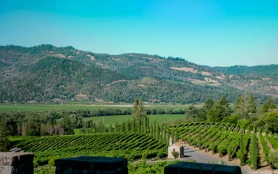 Calistoga, California: Best Things to Do – Top Picks