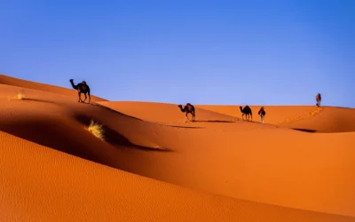 Western Sahara: Best Things to Do – Top Picks