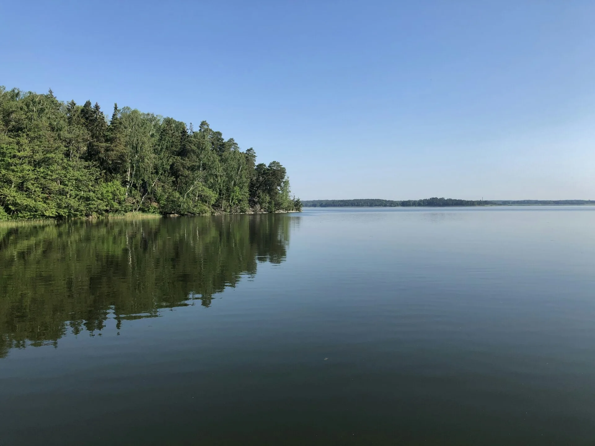 green trees beside body of water under blue sky during daytime