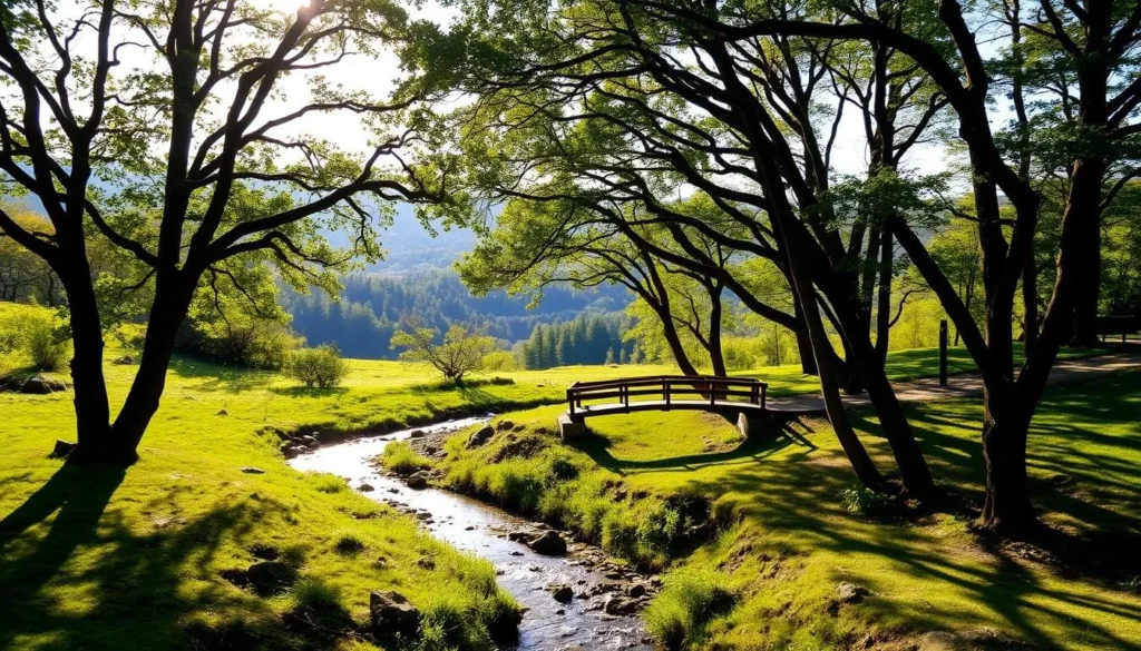 A scenic landscape of a lush, verdant state park, with a winding creek cutting through the center. Towering trees line the banks, their branches casting dappled shadows on the gently flowing water. In the middle ground, a wooden footbridge arches over the creek, inviting visitors to explore the natural wonder. Sunlight filters through the leaves, illuminating the scene with a warm, golden glow. In the distance, rolling hills and dense forests create a serene and tranquil atmosphere, perfect for outdoor recreation and relaxation. The overall mood is one of peaceful tranquility, capturing the essence of a picturesque state park.