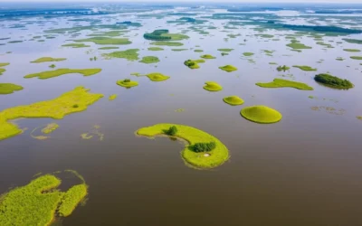 Hakaluki Haor, Bangladesh: Best Things to Do – Top Picks