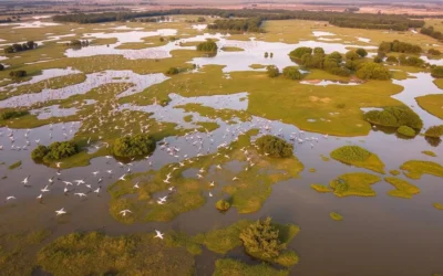 Bharatpur, Rajasthan: Best Things to Do – Top Picks