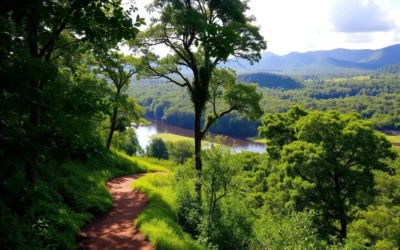 Brownsberg Nature Park, Suriname: Best Things to Do – Top Picks