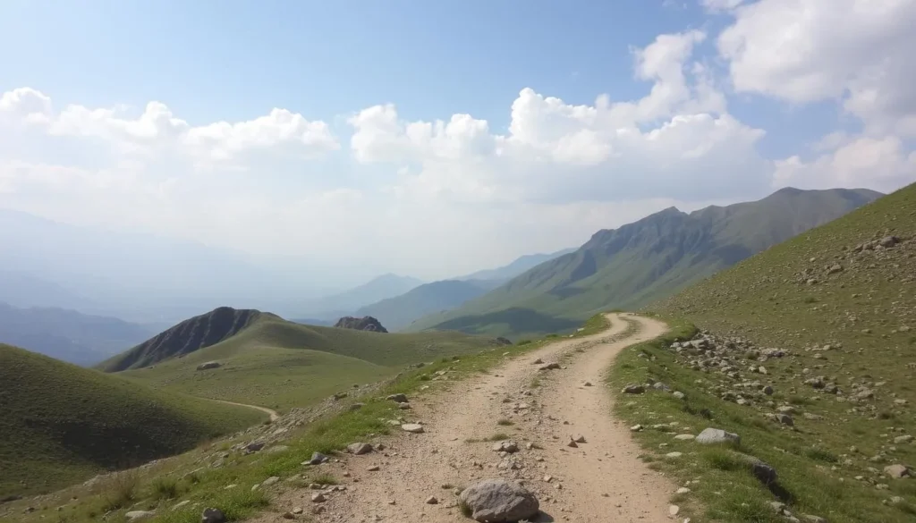Explore Karaj by bike