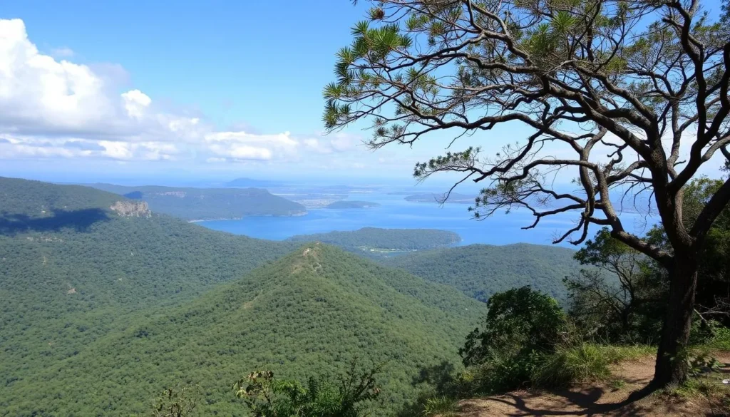 Explore the natural beauty of Paraguana Peninsula