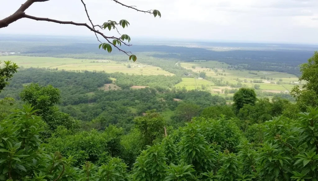 Explore the serene beauty of Eturnagaram Wildlife Sanctuary Explore the serene beauty of Eturnagaram Wildlife Sanctuary