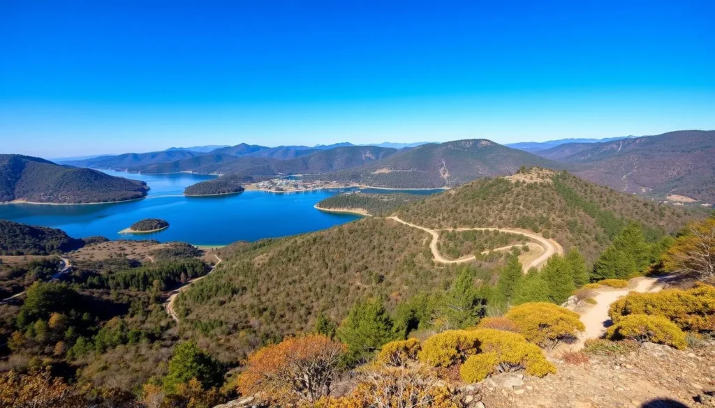 Generate an image of Zarasai Regional Park's diverse landscape, featuring lakes, forests, and hiking trails.