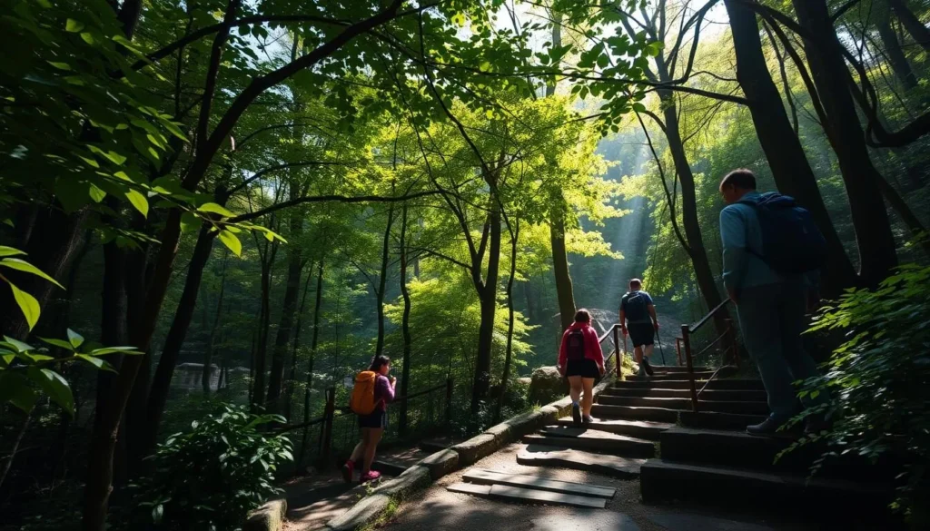 Hikers on the forested Daibutsu Trail in Kamakura with stone path and dappled sunlight Hikers on the forested Daibutsu Trail in Kamakura with stone path and dappled sunlight
