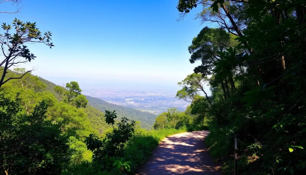 Hiking trail in Margalla Hills National Park with lush green vegetation and city views