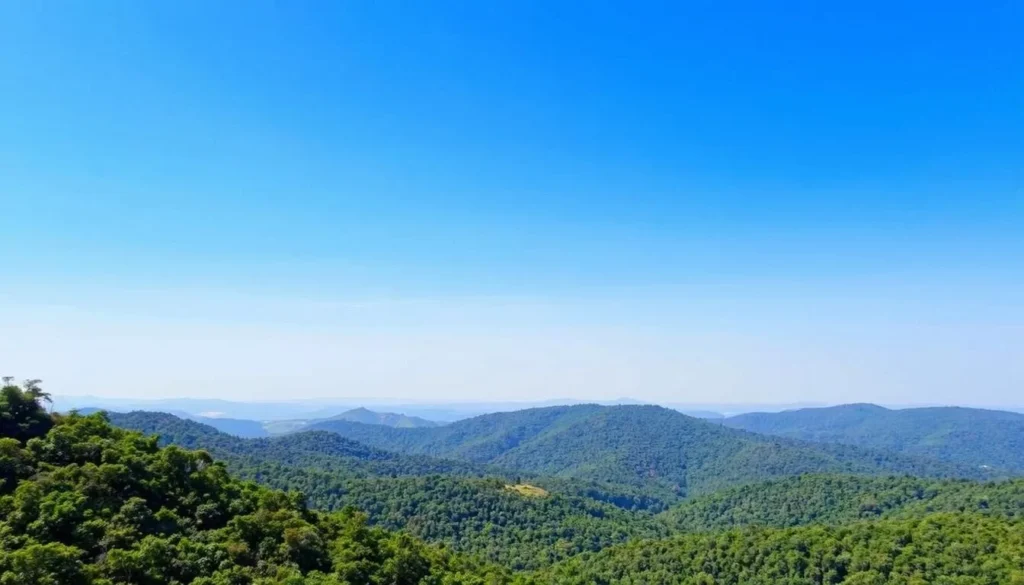 Himchari National Park during dry season with clear skies and vibrant greenery Himchari National Park during dry season with clear skies and vibrant greenery