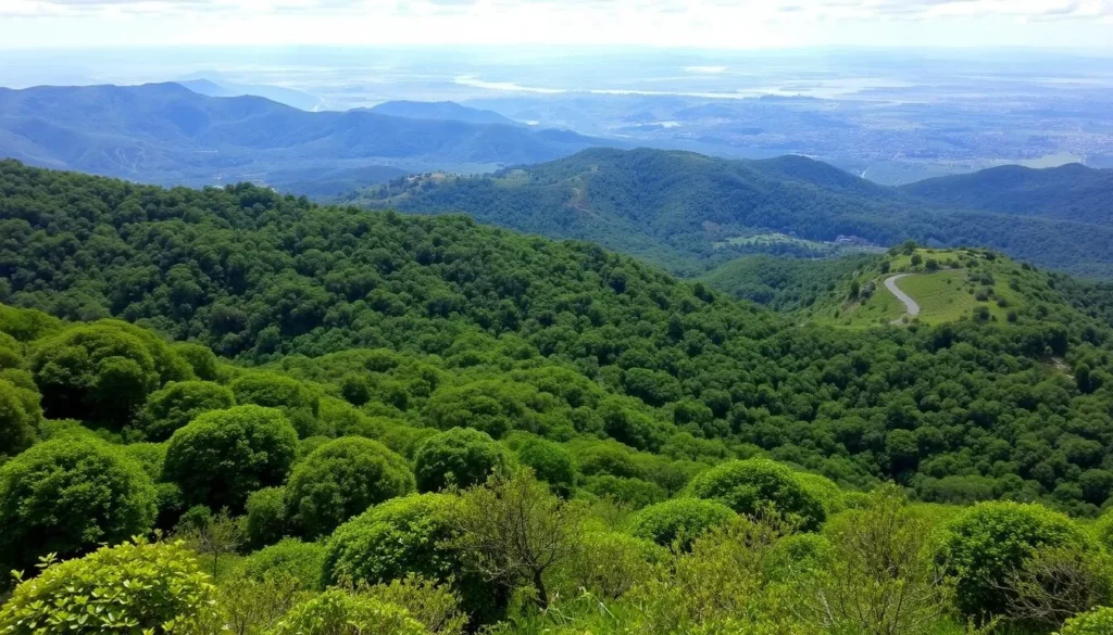 Image of Arimbra Hills with lush greenery and panoramic views