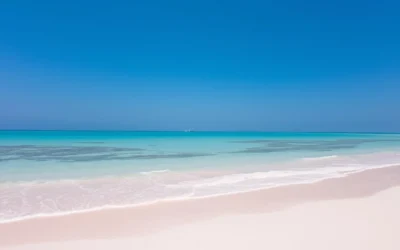 Bird Island, North Carolina: Best Things to Do – Top Picks