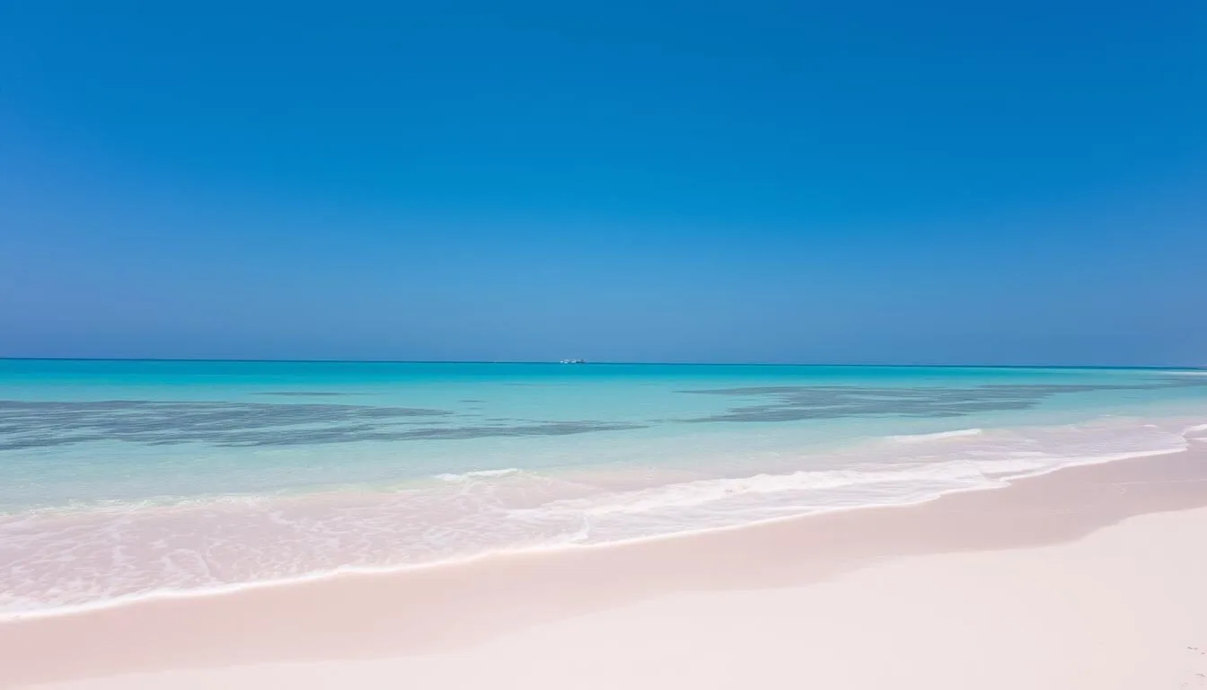 Image of Bird Island's pristine shoreline with a clear blue sky and calm waters.