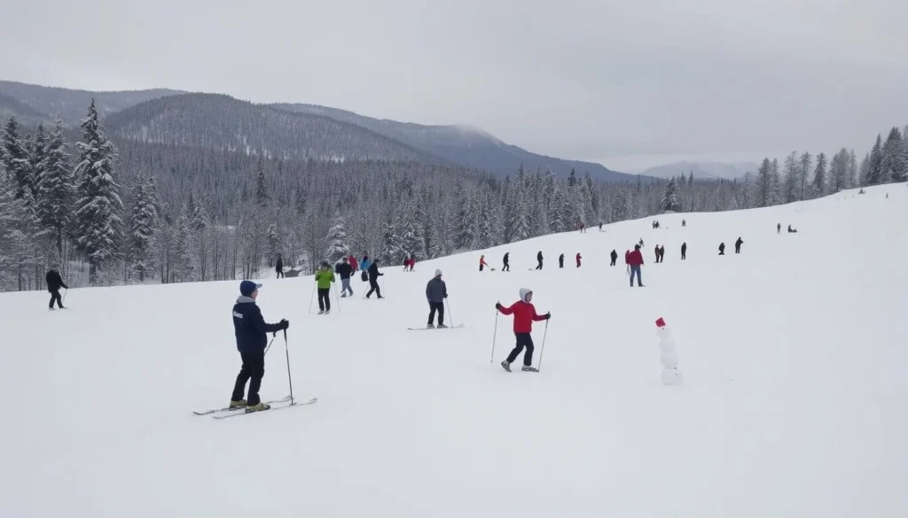 Image of Muddus National Park covered in snow with people engaging in winter activities