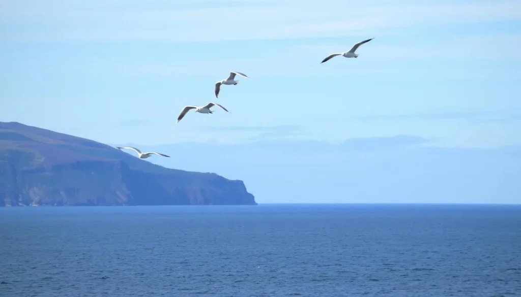 Image of Runde Island's scenic coastline with seabirds in flight