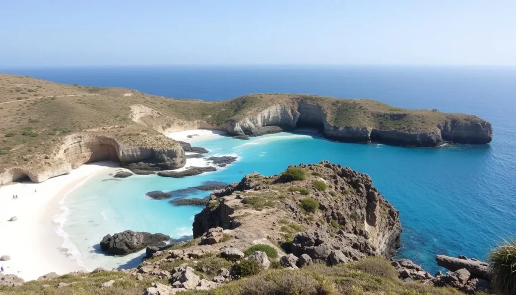 Image of Sinnamary beaches with wild coastline and pristine sand