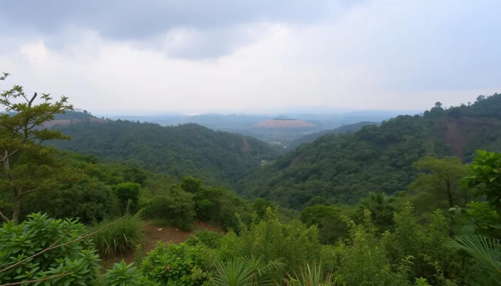 Image of Vansda National Park with its rich vegetation and wildlife