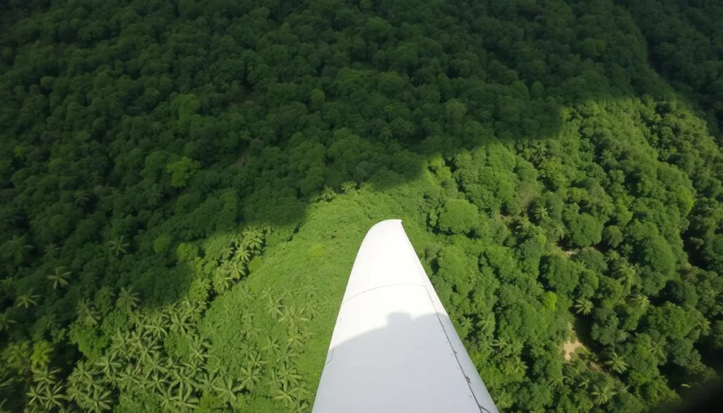 Image of a plane flying over the Amazon rainforest