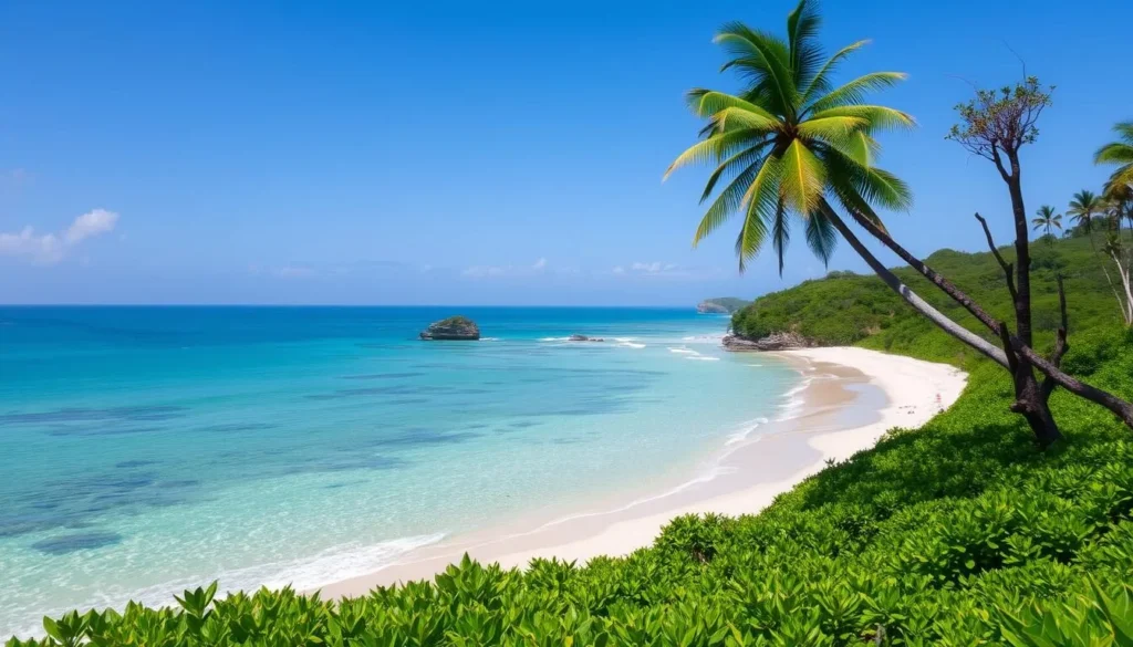 Image of a serene beach on Ilha do Cardoso with crystal-clear waters and lush greenery